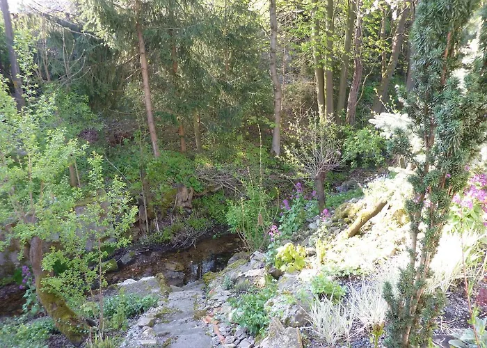 Magiczna Kuznia Stara Kamienica